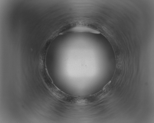 X0000073460456200608181309