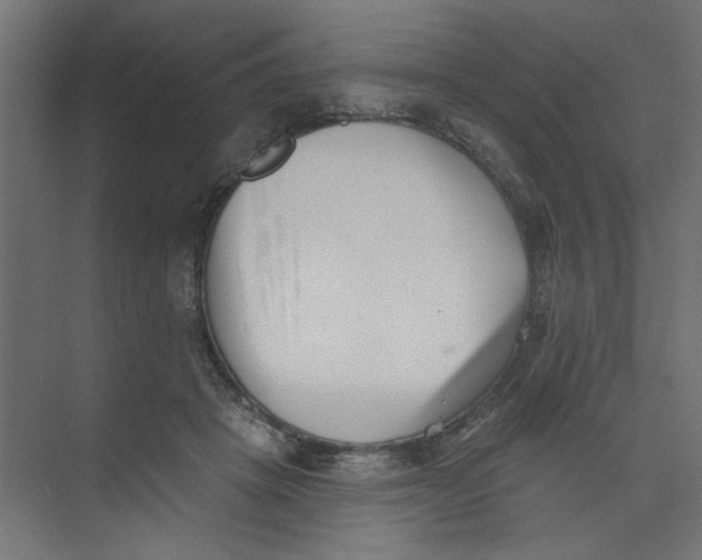 X0000073460457200608181309