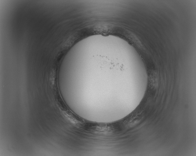 X0000073460458200608181309