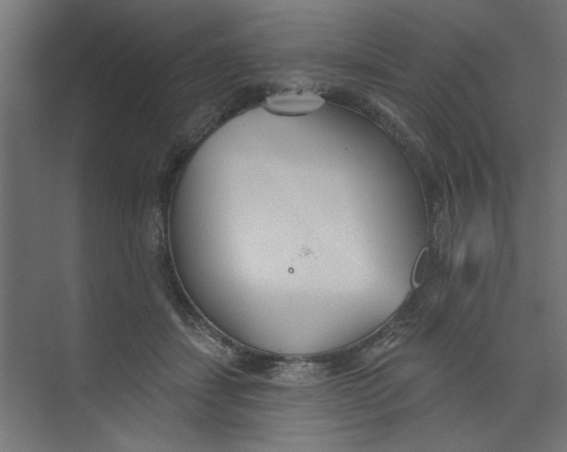 X0000073460459200608181309