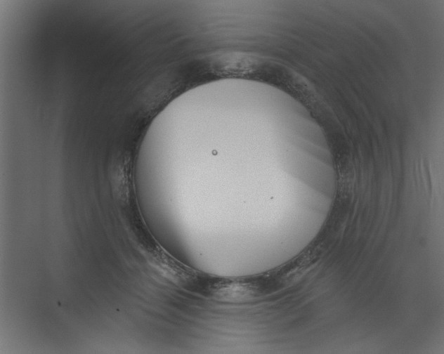 X0000073460460200608181309