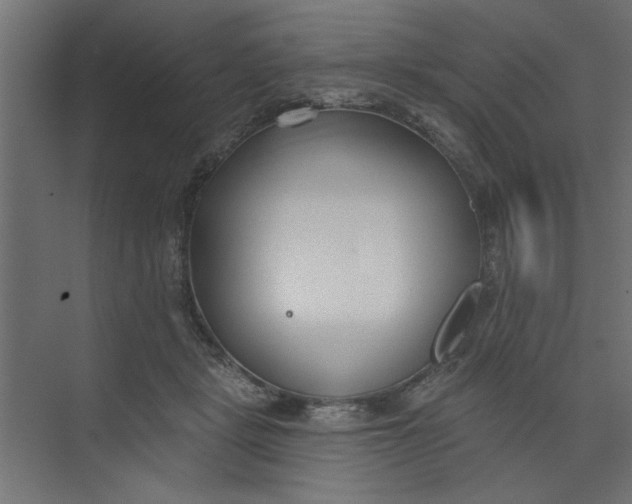 X0000073460461200608181309