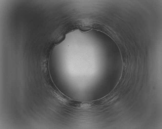 X0000073460462200608181310