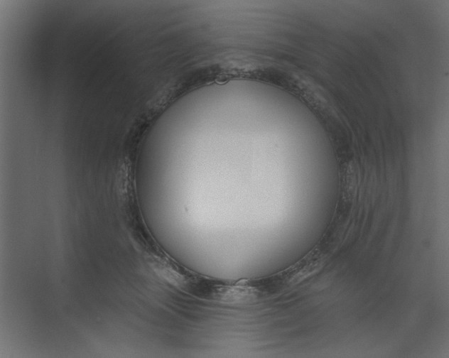 X0000073460463200608181310