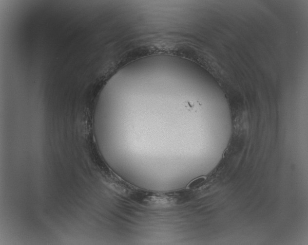 X0000073460464200608181310