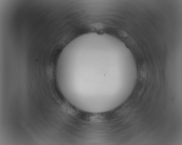 X0000073460468200608181310