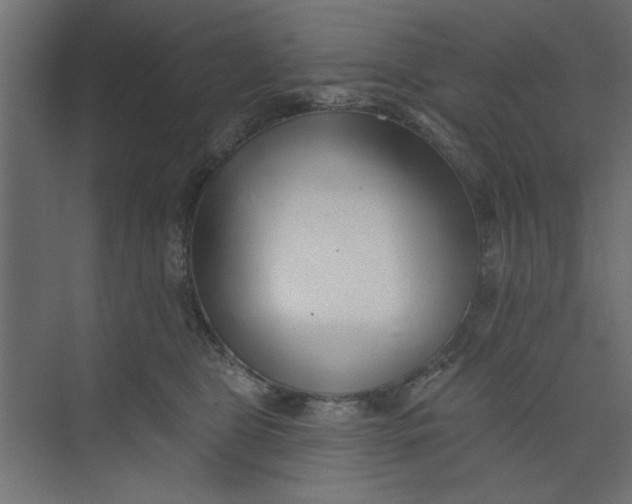 X0000073460469200608181310