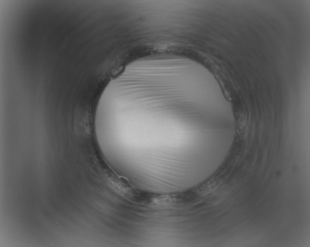 X0000073460470200608181310