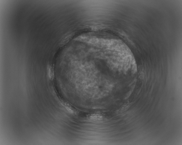 X0000073460471200608181310