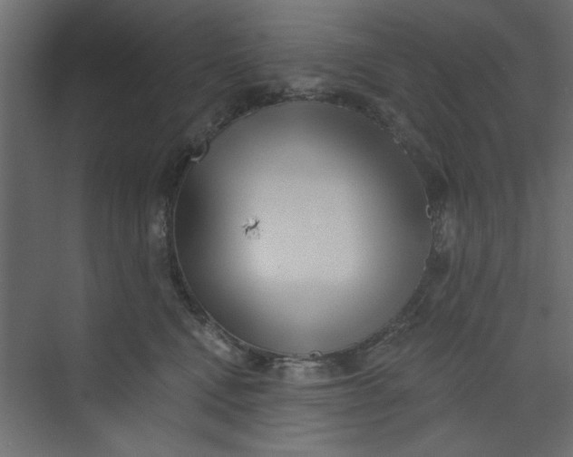 X0000073460472200608181310