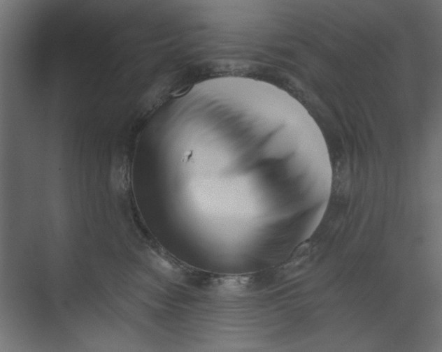 X0000073460474200608181310