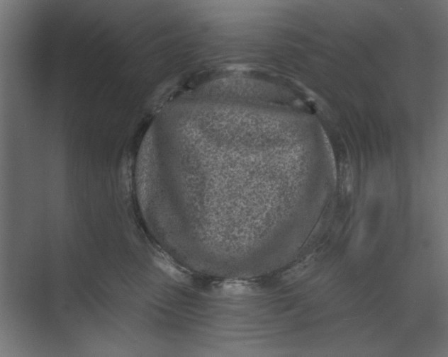 X0000073460475200608181310