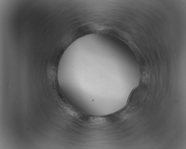 X0000073460476200608181310