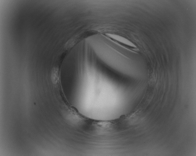 X0000073460478200608181310