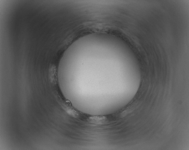 X0000073460480200608181310