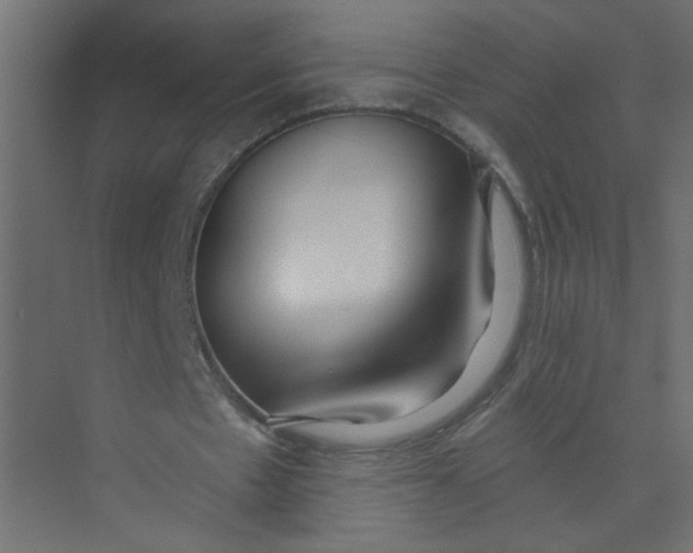 X0000073460481200608181309