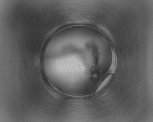 X0000073460483200608181309