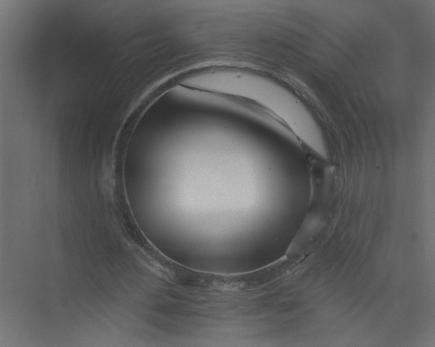 X0000073460484200608181309