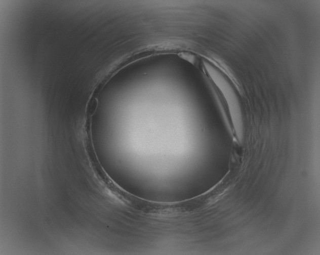 X0000073460485200608181309