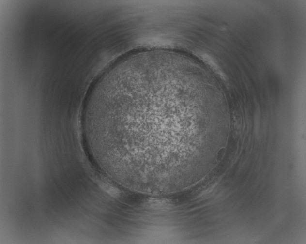 X0000073460487200608181309