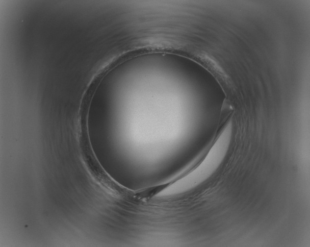 X0000073460488200608181309