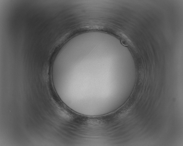 X0000073460490200608181309