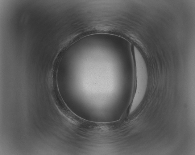 X0000073460492200608181309