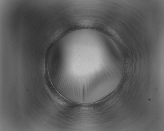 X0000073460494200608181309