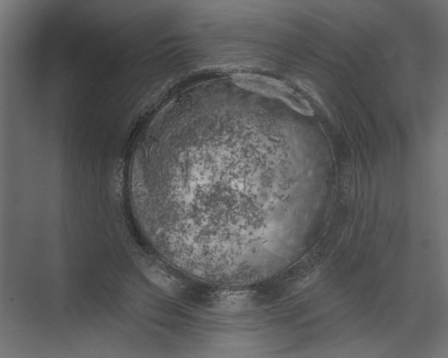 X0000073460495200608181309