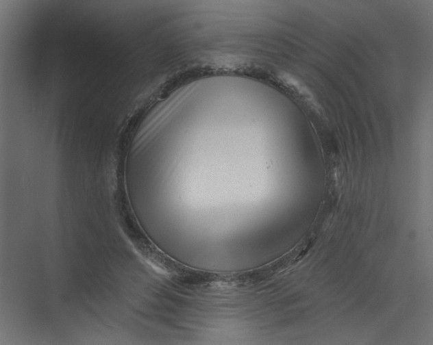 X0000073460496200608181309