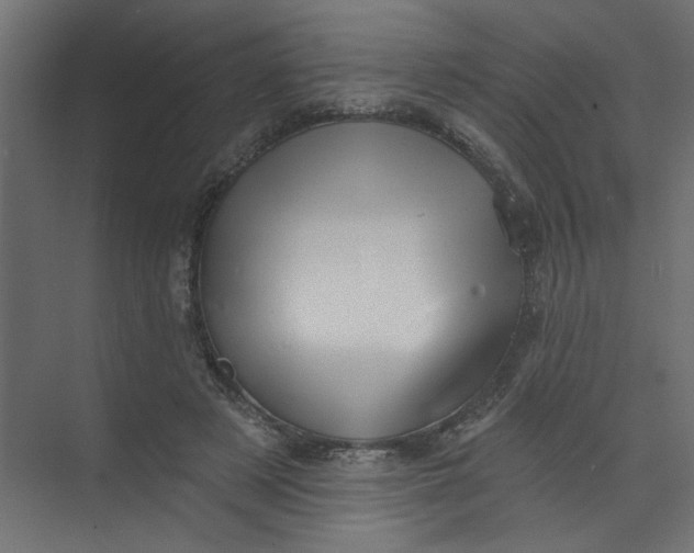 X0000073460497200608181309