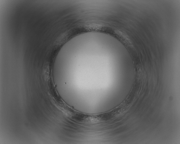 X0000073460498200608181309