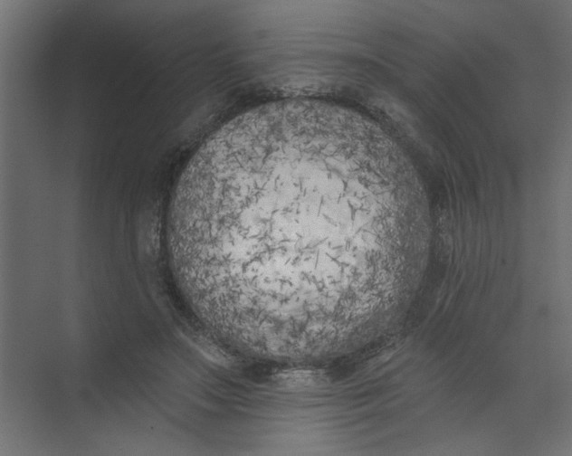 X0000073460499200608181309