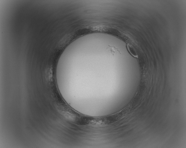 X0000073460502200608181309