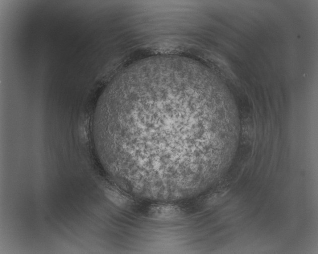 X0000073460503200608181309