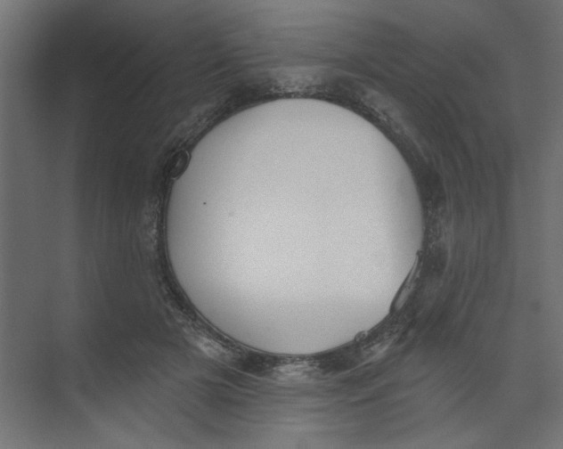 X0000073460505200608181309