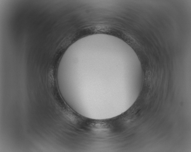 X0000073460506200608181309