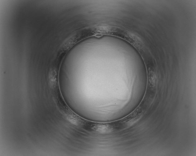 X0000073460507200608181309