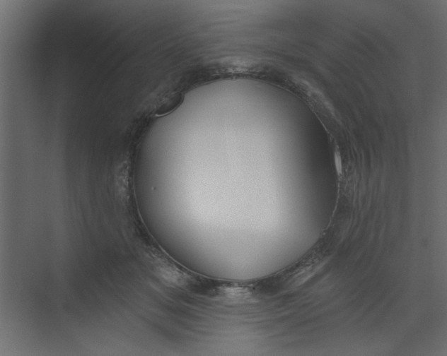 X0000073460509200608181309