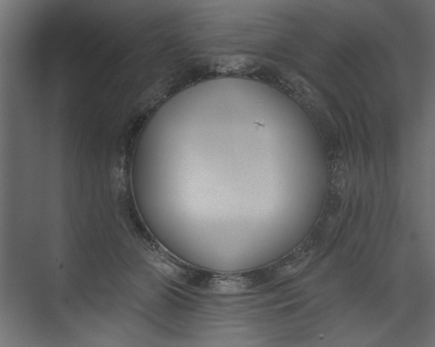 X0000073460510200608181309