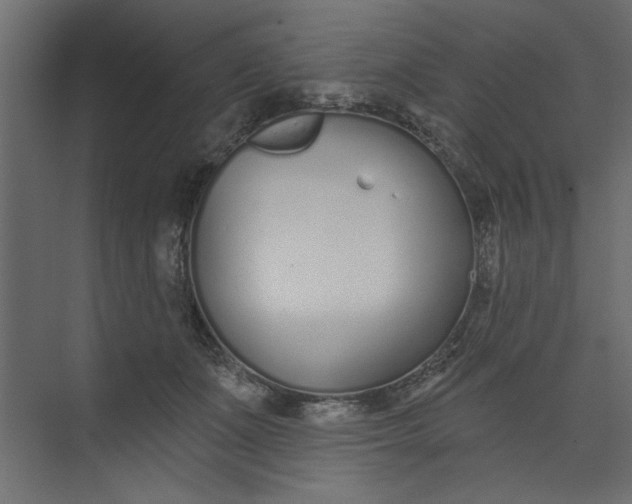 X0000073460511200608181308