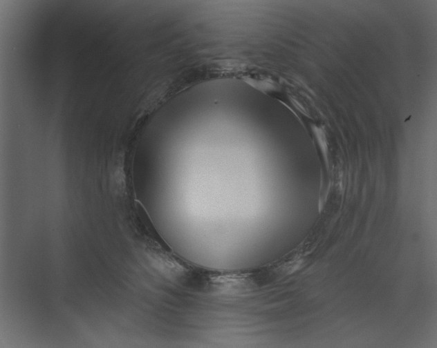 X0000073460516200608181308