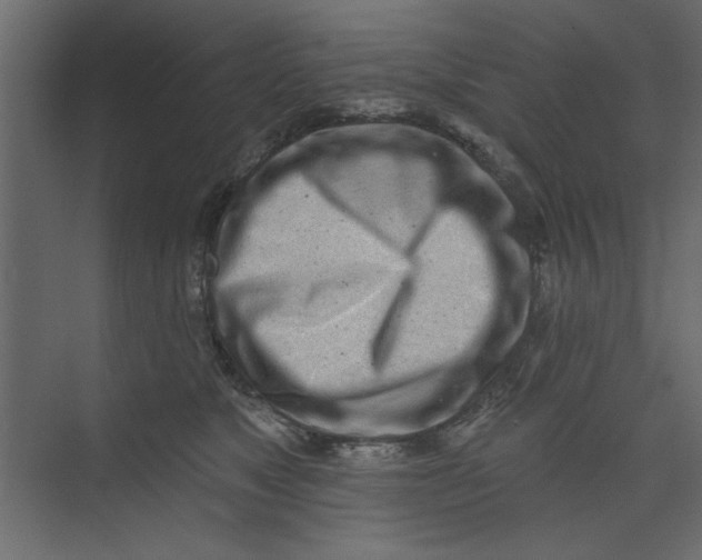 X0000073460517200608181308