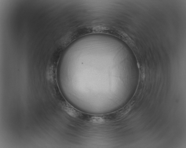 X0000073460519200608181308