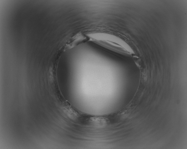 X0000073460520200608181308