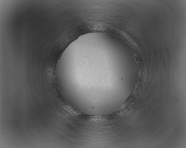 X0000073460521200608181308