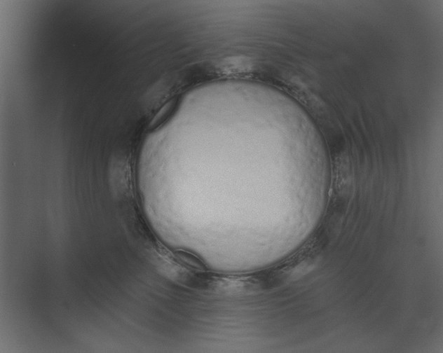 X0000073460523200608181308