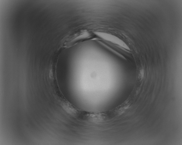 X0000073460524200608181308