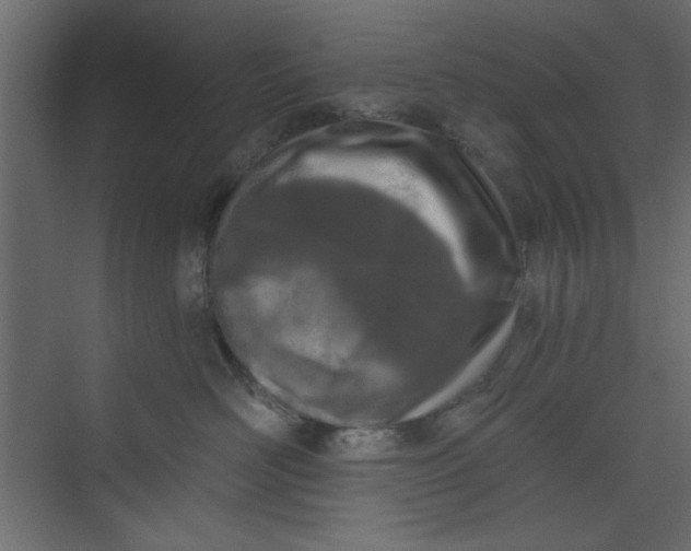 X0000073460526200608181308