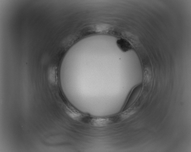 X0000073460527200608181308